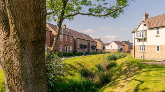 Fig 3.6: A swale in a development in Alford, East Lindsey, Lincolnshire